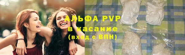 ешки Вяземский